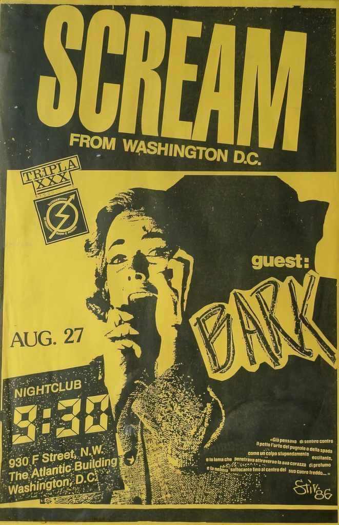 Punk Poster USA Flyer 8y53ehcs7 A4 Photo Print