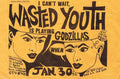 Punk Poster USA Flyer 8y88vusc7 A4 Photo Print
