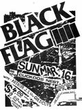 Punk Poster USA Flyer 8yhpuuf73287 A4 Photo Print
