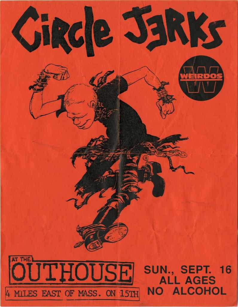 Punk Poster USA Flyer 8zr7id3f7 A4 Photo Print