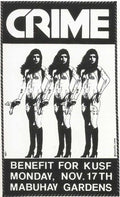 Punk Poster USA Flyer z3abg7zy7 A4 Photo Print