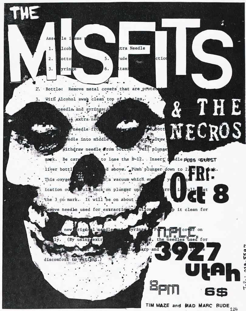 Punk Poster USA Flyer z535vfx87 A4 Photo Print