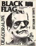 Punk Poster USA Flyer z5we3o837 A4 Photo Print