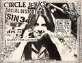 Punk Poster USA Flyer z6e578xc7 A4 Photo Print