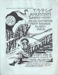 Punk Poster USA Flyer z6p683ac7 A4 Photo Print
