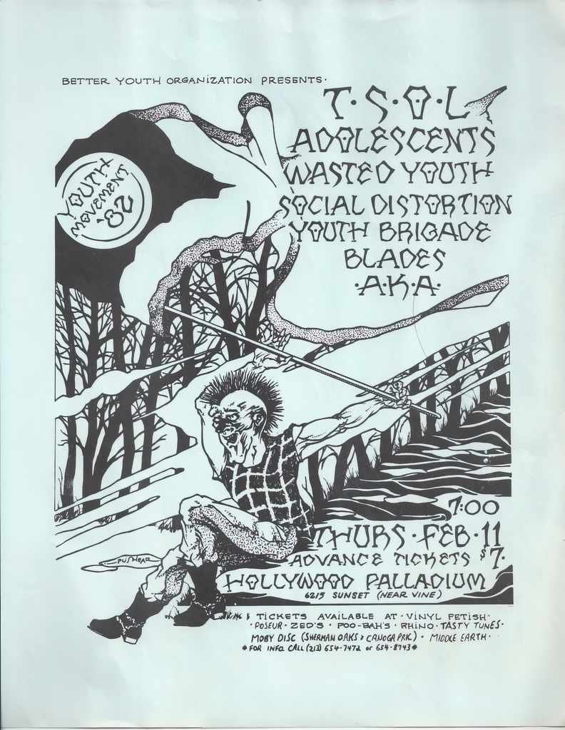 Punk Poster USA Flyer z6p683ac7 A4 Photo Print