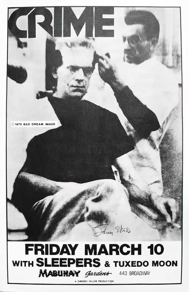 Punk Poster USA Flyer z6rkcgfv7 A4 Photo Print