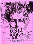 Punk Poster USA Flyer z6u6o3ky3287 A4 Photo Print