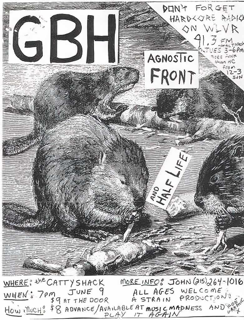 Punk Poster USA Flyer z6u77cef7 A4 Photo Print
