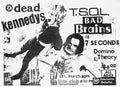 Punk Poster USA Flyer z6x3zdiz7 A4 Photo Print