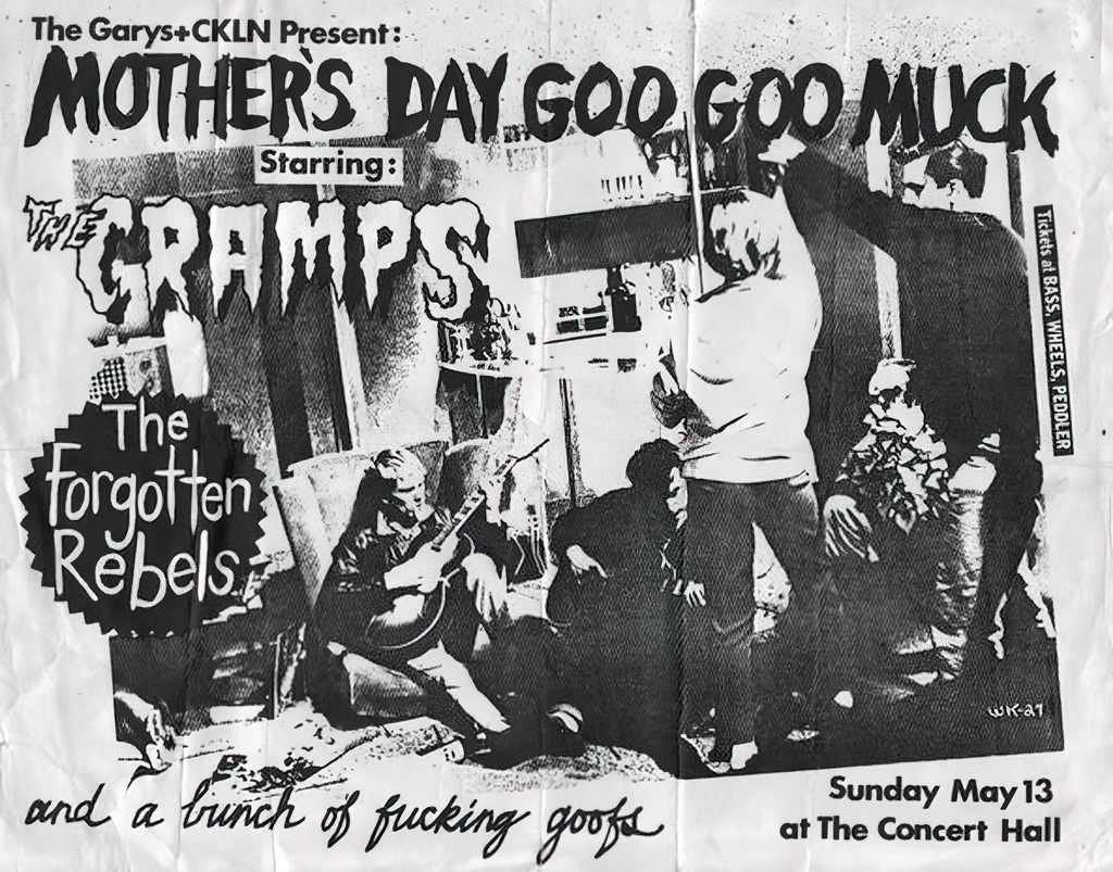 Punk Poster USA Flyer z6x866id7 A4 Photo Print