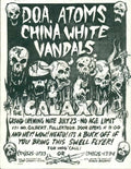 Punk Poster USA Flyer z72da8ci7 A4 Photo Print