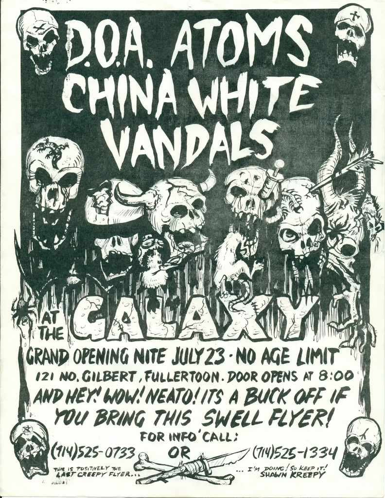 Punk Poster USA Flyer z72da8ci7 A4 Photo Print