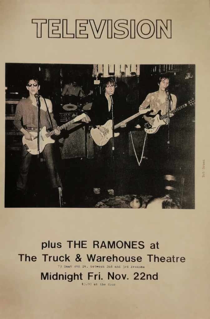 Punk Poster USA Flyer z73352xo3287 A4 Photo Print