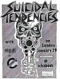 Punk Poster USA Flyer z73fdote7 A4 Photo Print