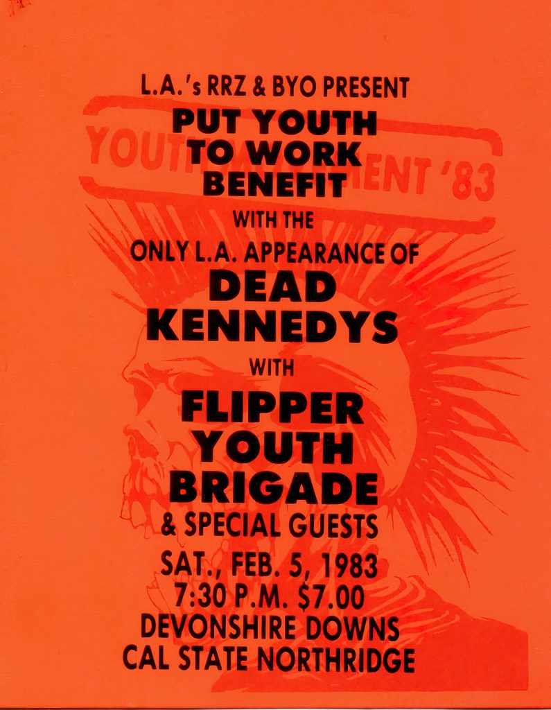Punk Poster USA Flyer z73ze7ay7 A4 Photo Print