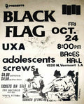 Punk Poster USA Flyer z788wzet7 A4 Photo Print
