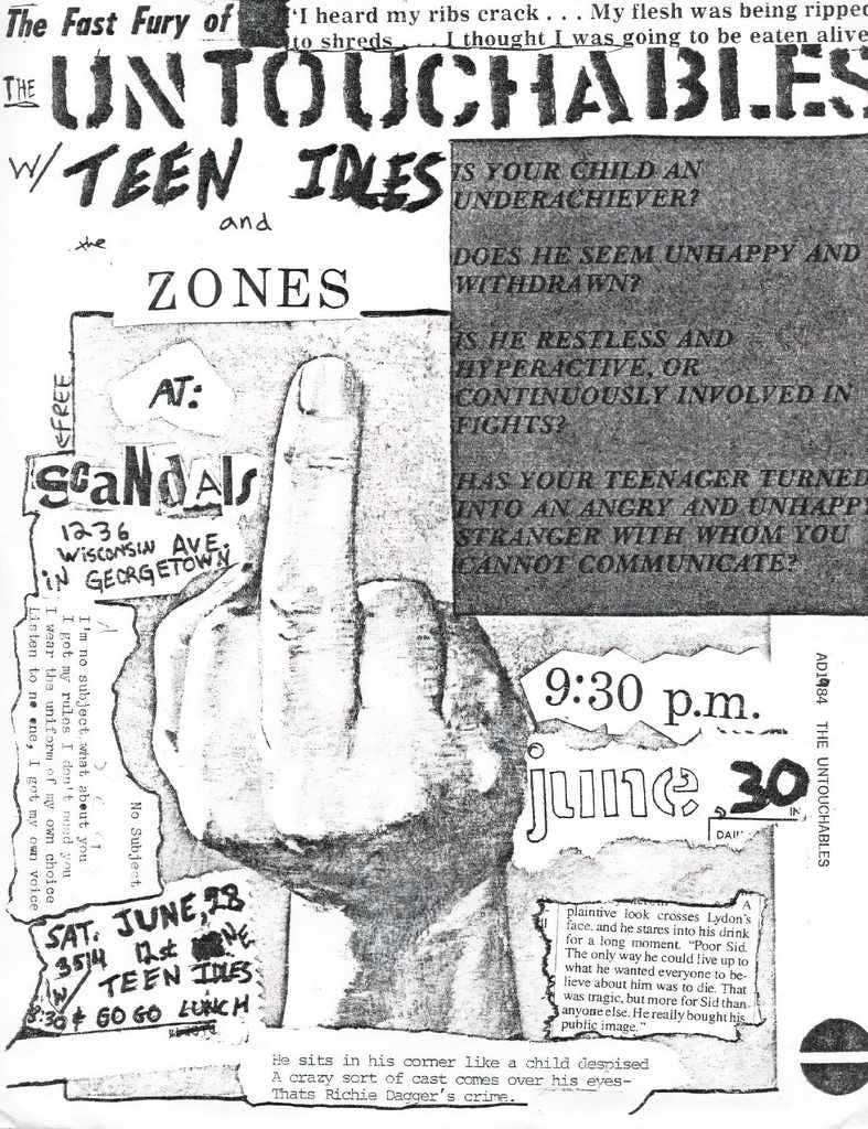 Punk Poster USA Flyer z7h6z77p7 A4 Photo Print