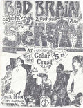 Punk Poster USA Flyer z7h6zvwq3287 A4 Photo Print
