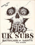 Punk Poster USA Flyer z7zu8asi7 A4 Photo Print