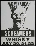 Punk Poster USA Flyer z8c8dpzo7 A4 Photo Print