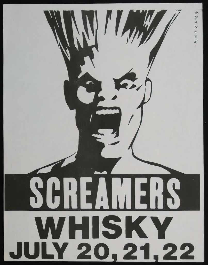Punk Poster USA Flyer z8c8dpzo7 A4 Photo Print