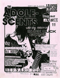 Punk Poster USA Flyer z8id5zws7 A4 Photo Print
