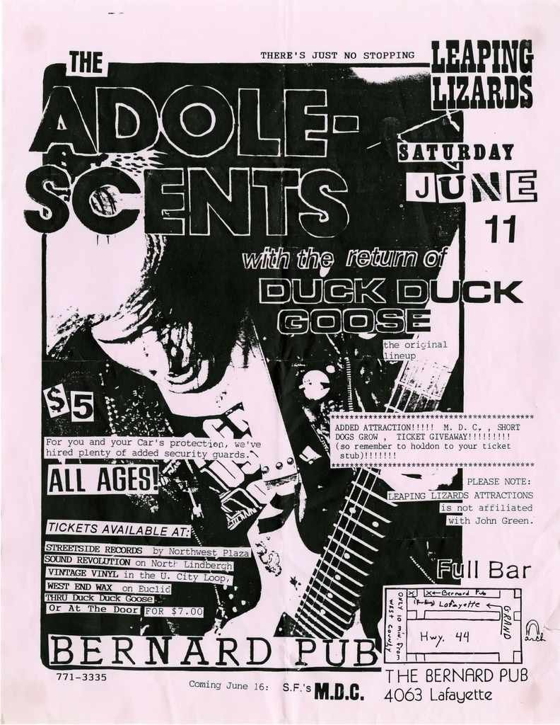 Punk Poster USA Flyer z8id5zws7 A4 Photo Print