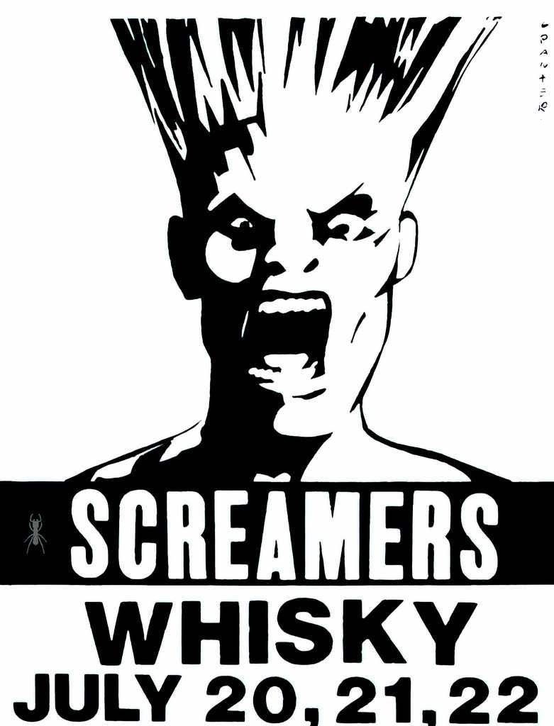 Punk Poster USA Flyer zad23ve83287
