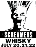 Punk Poster USA Flyer zad23ve83287.png