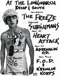 Punk Poster USA Flyer zas3tvso7 A4 Photo Print