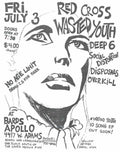 Punk Poster USA Flyer zh336scc7 A4 Photo Print