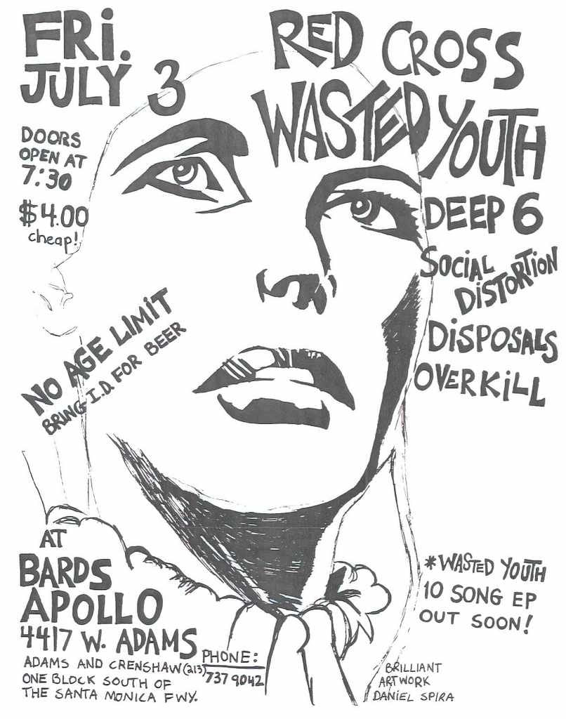 Punk Poster USA Flyer zh336scc7 A4 Photo Print