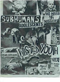 Punk Poster USA Flyer zhtuth637 A4 Photo Print