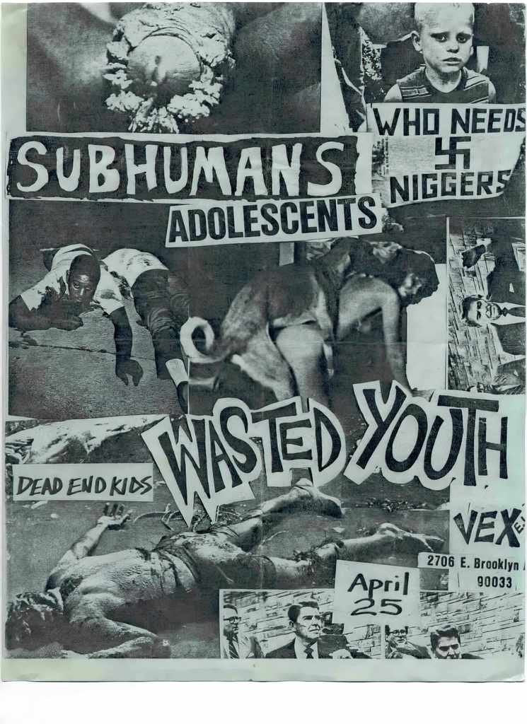 Punk Poster USA Flyer zhtuth637 A4 Photo Print
