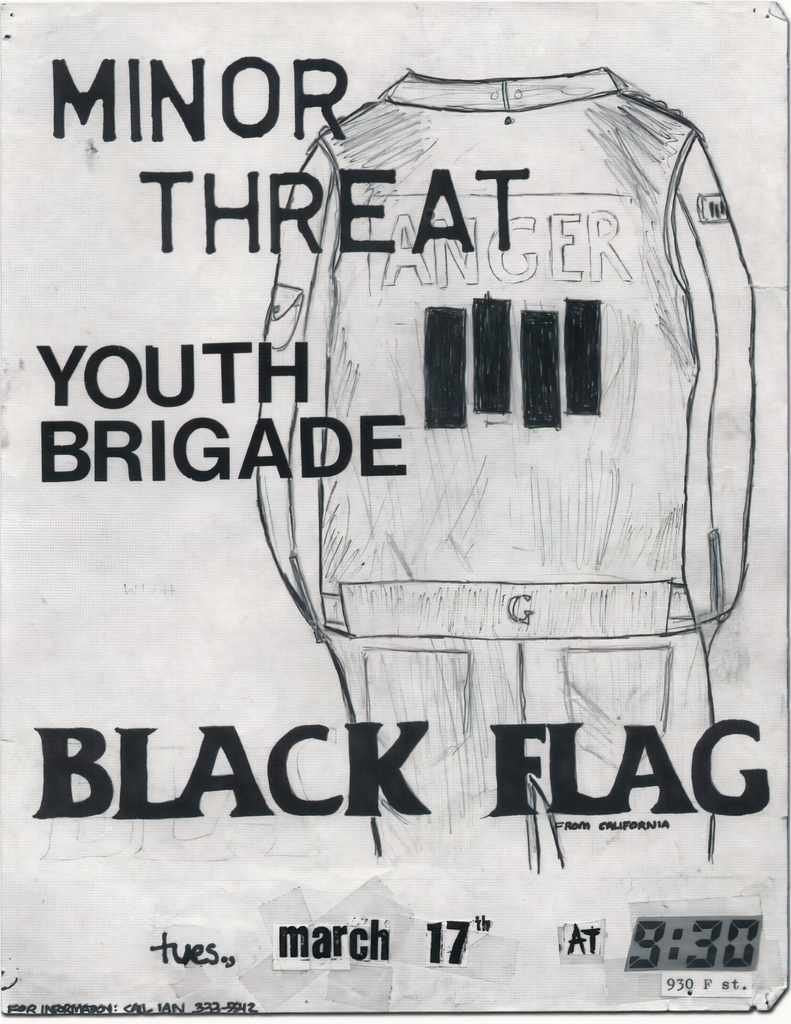 Punk Poster USA Flyer zixz8xk37 A4 Photo Print