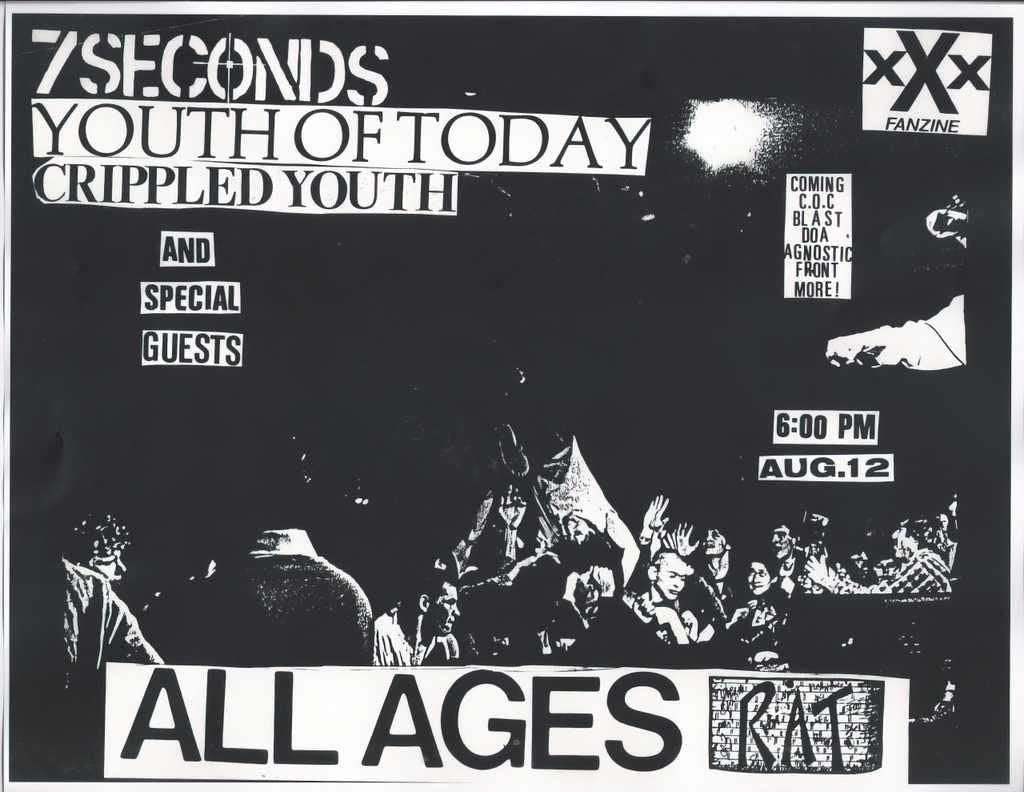 Punk Poster USA Flyer zqfz7cv57 A4 Photo Print