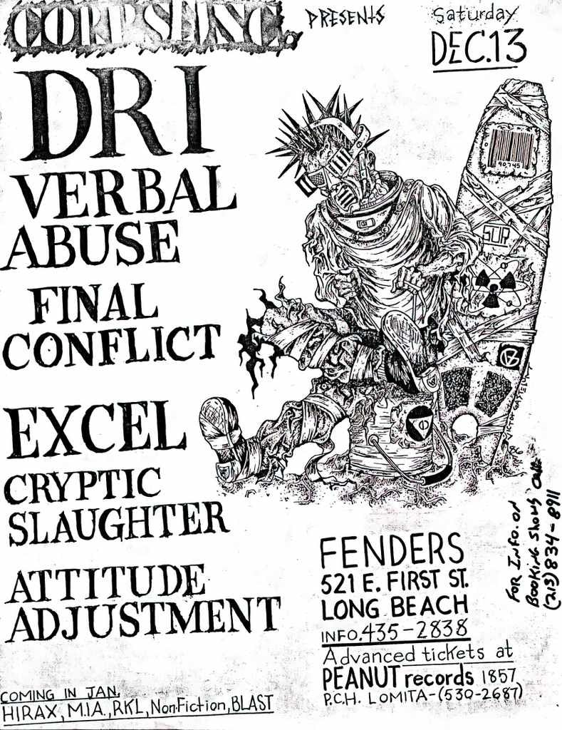 Punk Poster USA Flyer zr8f8szd7 A4 Photo Print