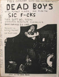 Punk Poster USA Flyer zre6fiud7 A4 Photo Print