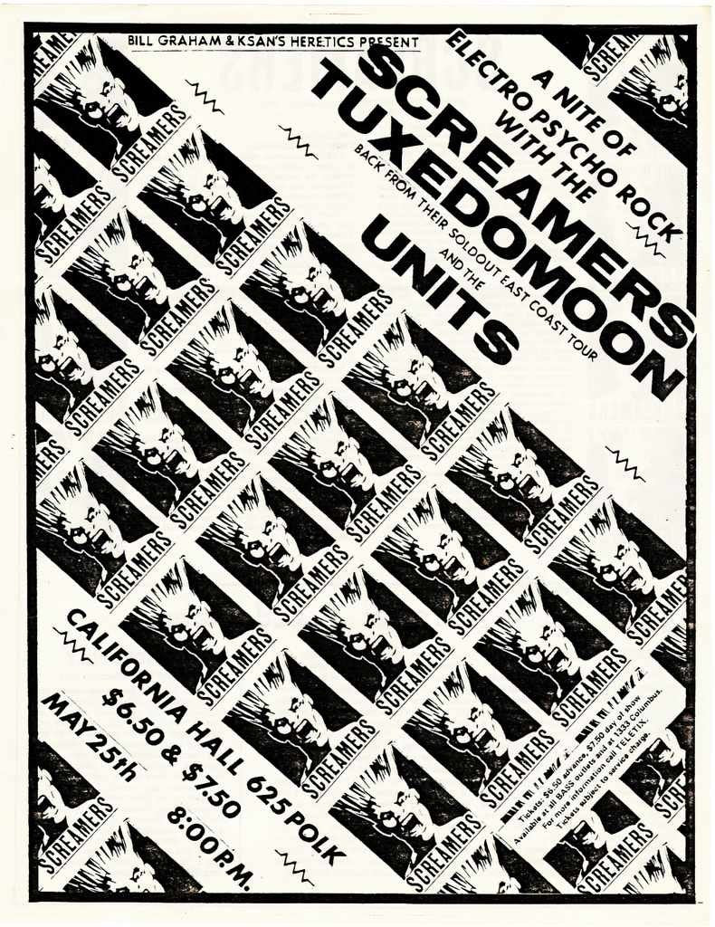 Punk Poster USA Flyer zre8wf887 A4 Photo Print