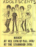 Punk Poster USA Flyer zszz8iw87 A4 Photo Print