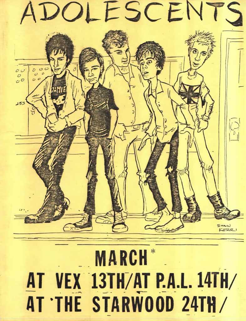 Punk Poster USA Flyer zszz8iw87 A4 Photo Print