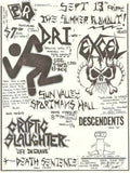 Punk Poster USA Flyer ztioc6g67 A4 Photo Print