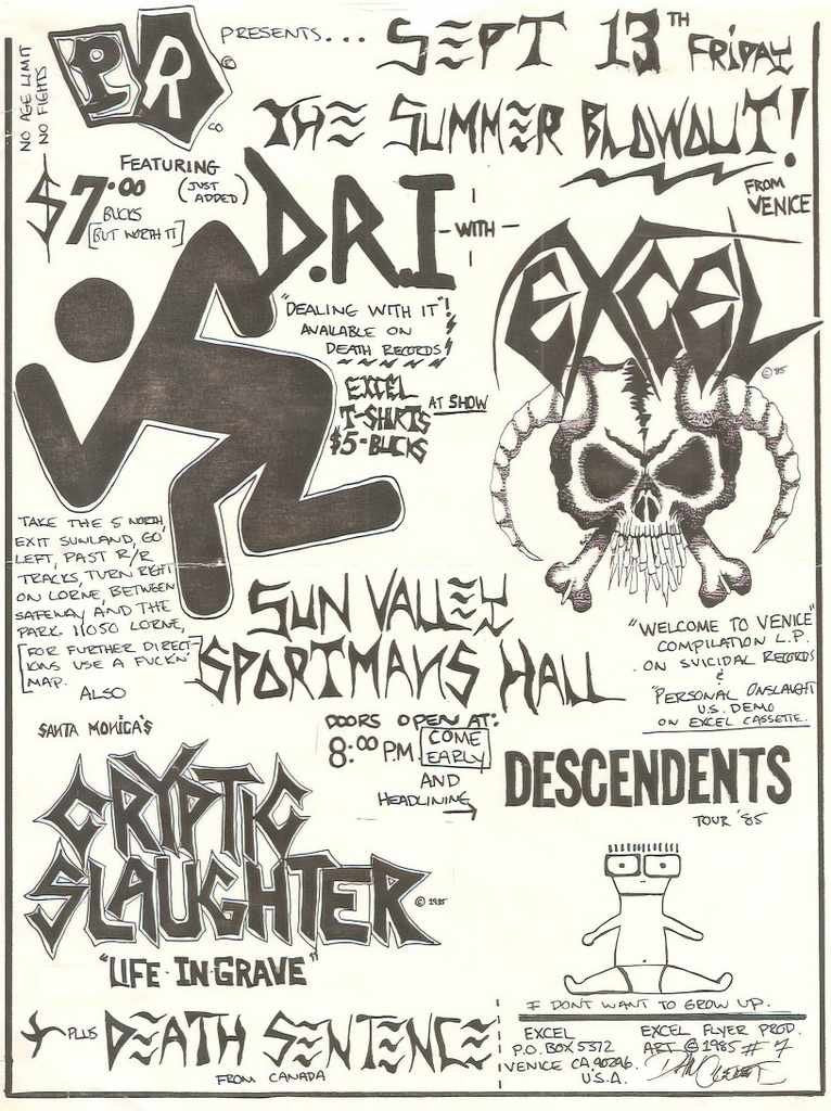 Punk Poster USA Flyer ztioc6g67 A4 Photo Print