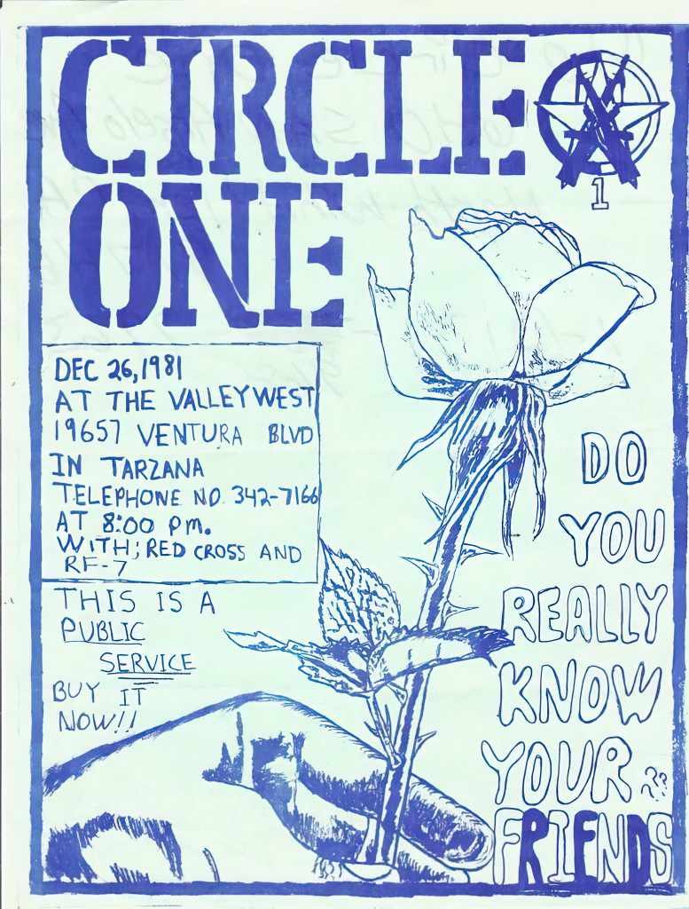 Punk Poster USA Flyer ztpiskg37 A4 Photo Print
