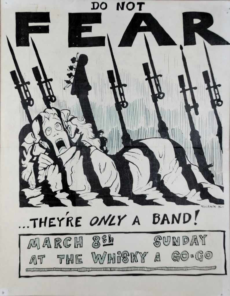 Punk Poster USA Flyer zufsvkc37 A4 Photo Print