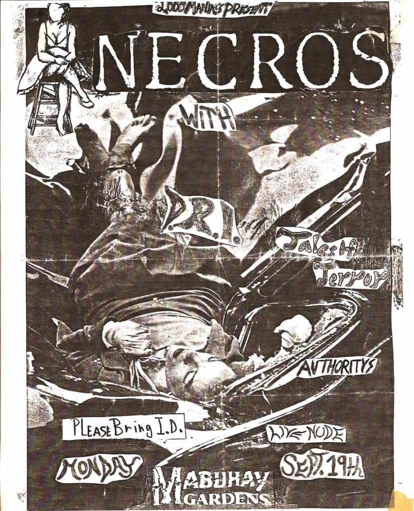 Punk Poster USA Flyer zvtaf3kx7 A4 Photo Print