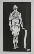 Punk Poster USA Flyer zxe8qf8f7 A4 Photo Print