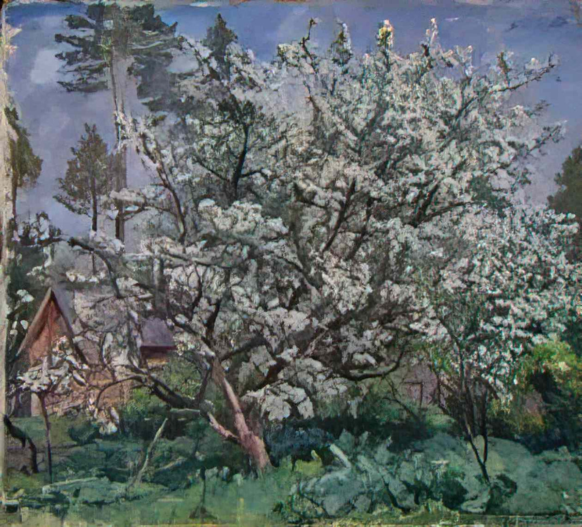 Pyotr Konchalovsky apple tree in bloom 1937 Art A4 Photo Print