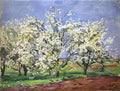 Pyotr Konchalovsky apple trees in blossom blue day 1939 Art A4 Photo Print